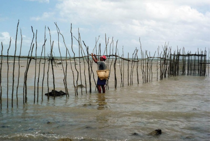 Figure 4. Local people also build fish traps using organic materials (fibres, wood) © A. Colonese.